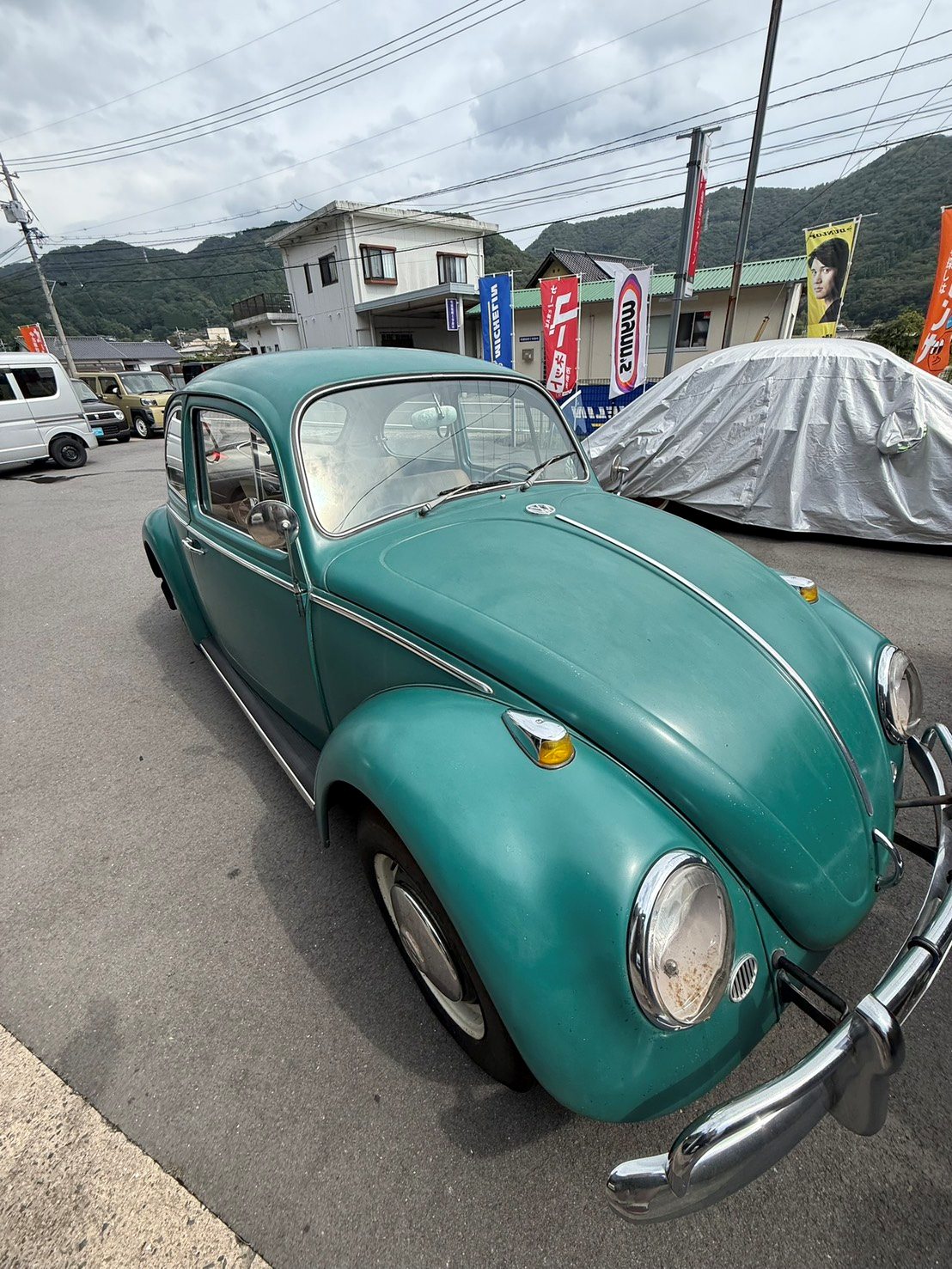 1966　VW　TYPE1　ジャバグリーンの画像